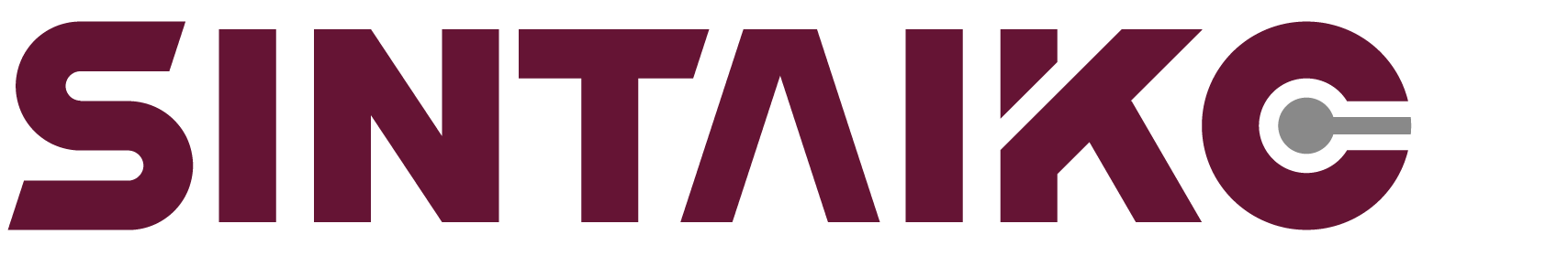 SINTAIKE Logo